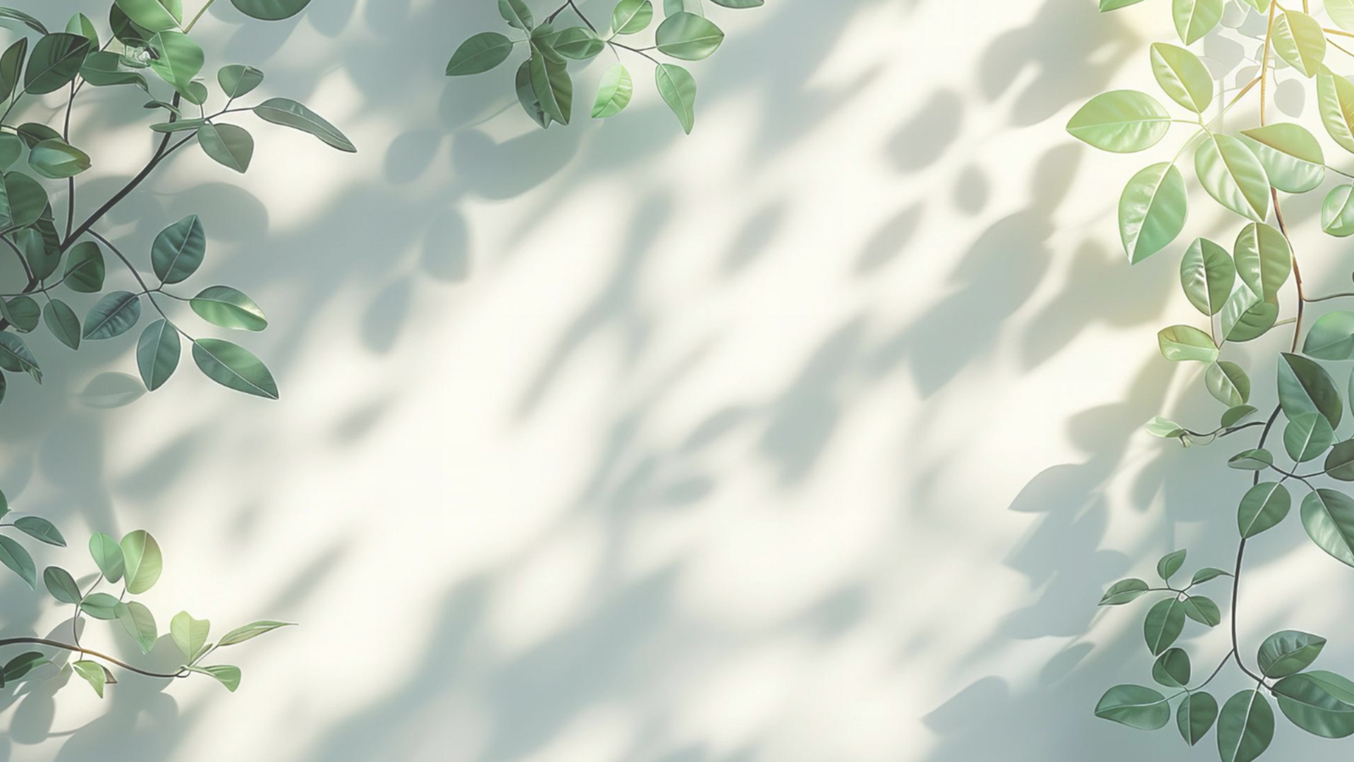 ギャラリー